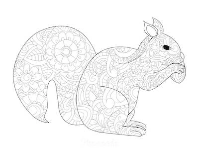 Autumn squirrel antistress coloring book